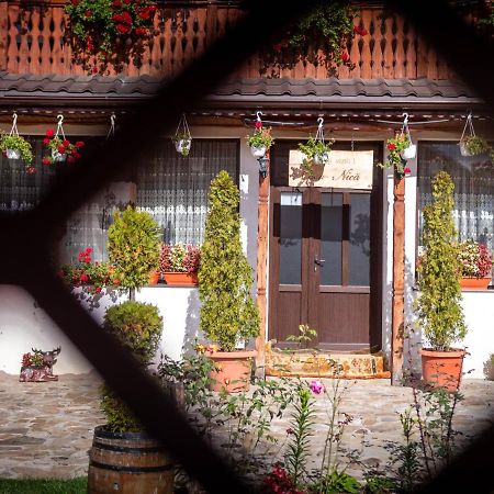 Agropensiunea Casa Nica Margineni  Bagian luar foto