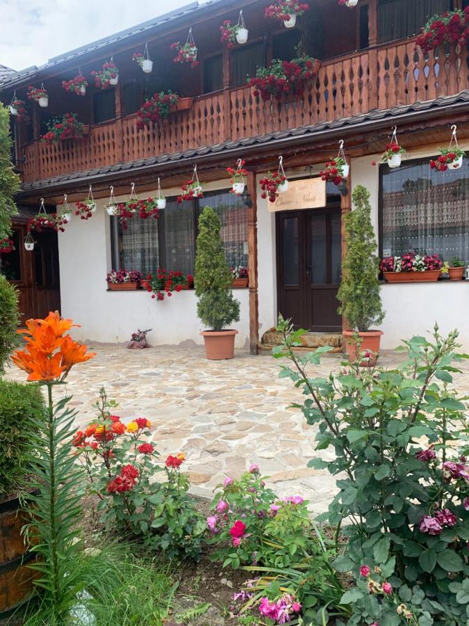 Agropensiunea Casa Nica Margineni  Bagian luar foto