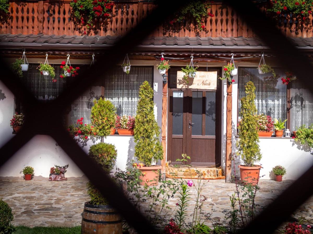 Agropensiunea Casa Nica Margineni  Bagian luar foto