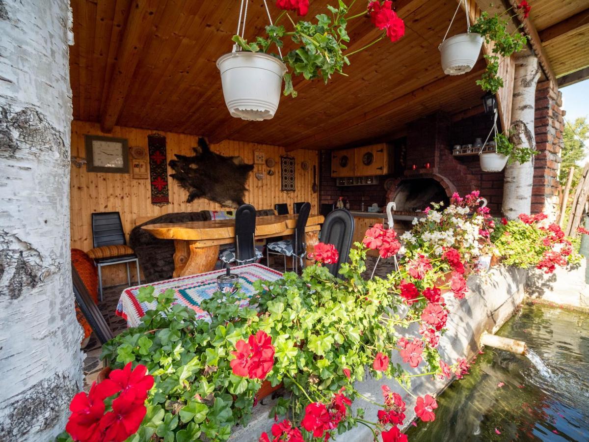 Agropensiunea Casa Nica Margineni  Bagian luar foto