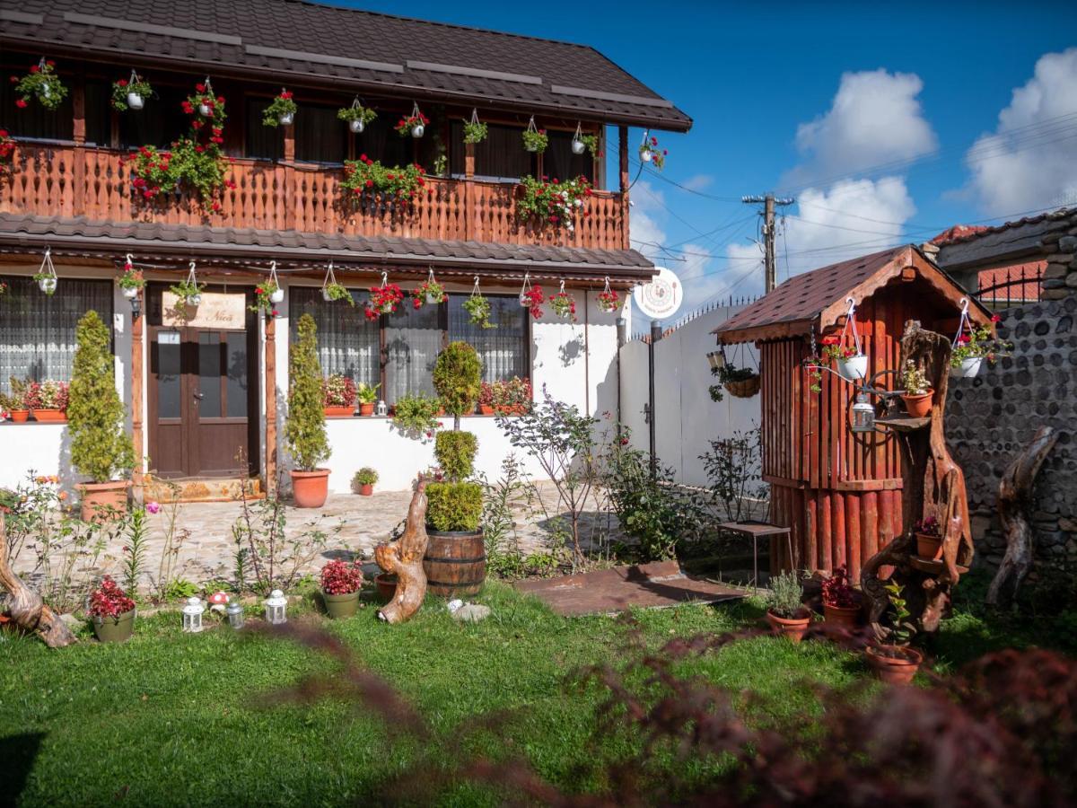 Agropensiunea Casa Nica Margineni  Bagian luar foto