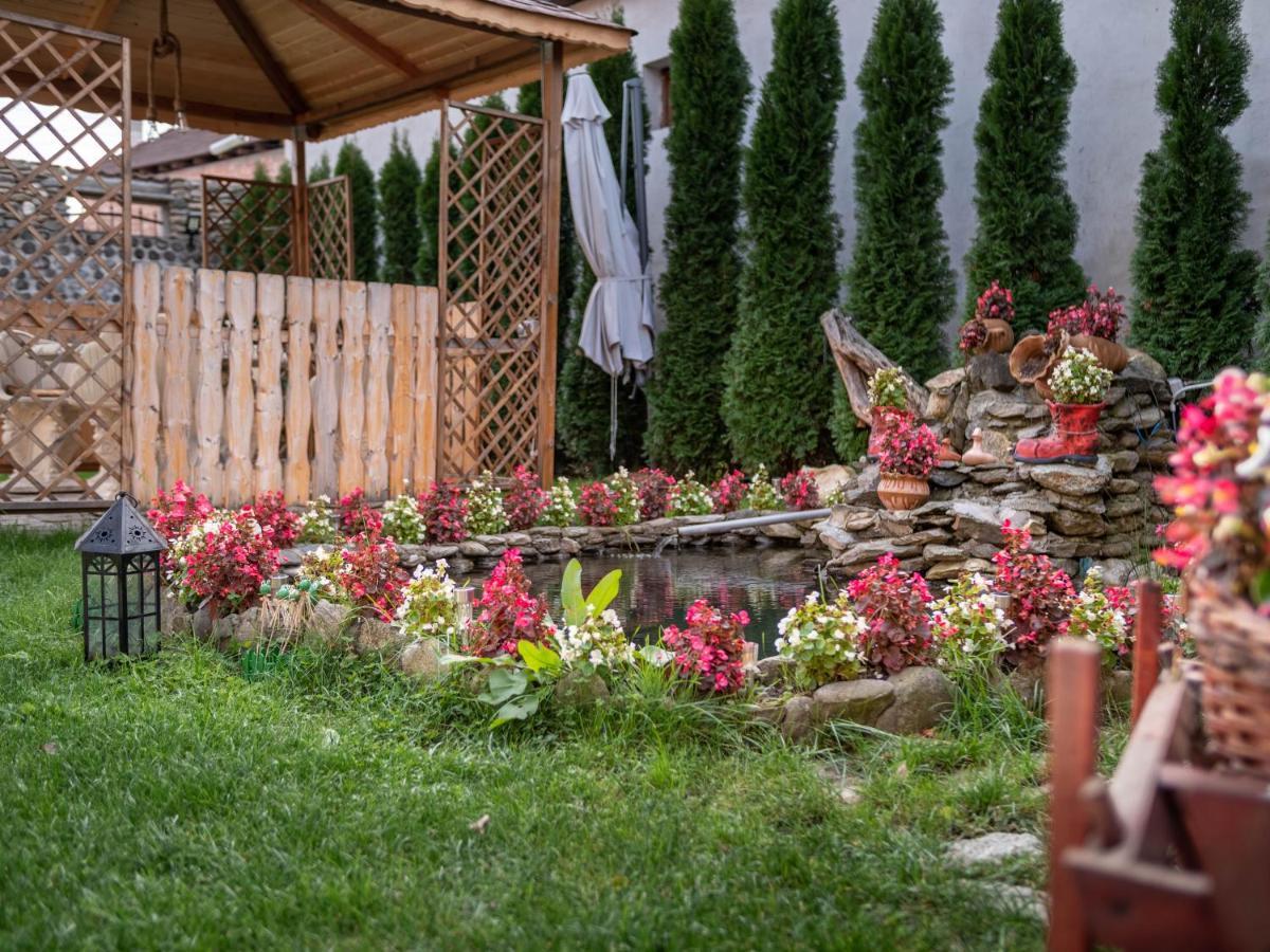 Agropensiunea Casa Nica Margineni  Bagian luar foto